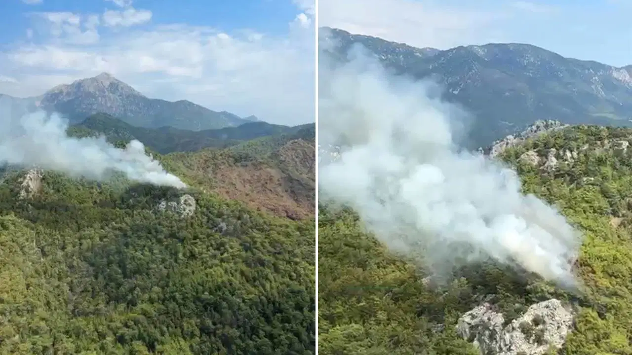 Antalya'da Orman Yangını: Ekipler Hızla Müdahale Atında