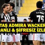 ADMIRA WACKER BEŞİKTAŞ MAÇI CANLI İZLE| Admira Wacker