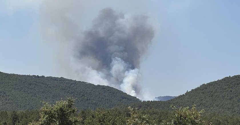 Eskişehir’de orman yangını – Son Dakika Haberleri