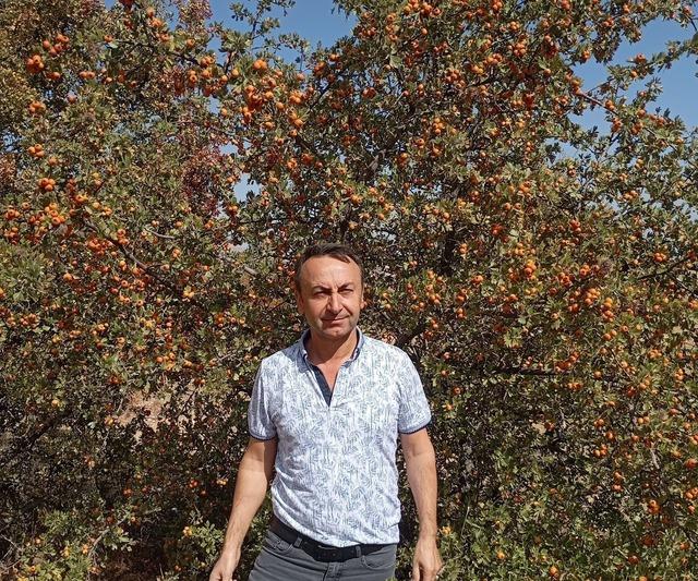 Hasat Malatya 2'deki şifa dükkanında devam ediyor