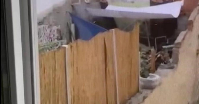 Eskişehir’de köpeğe zulmeden kişi tutuklandı